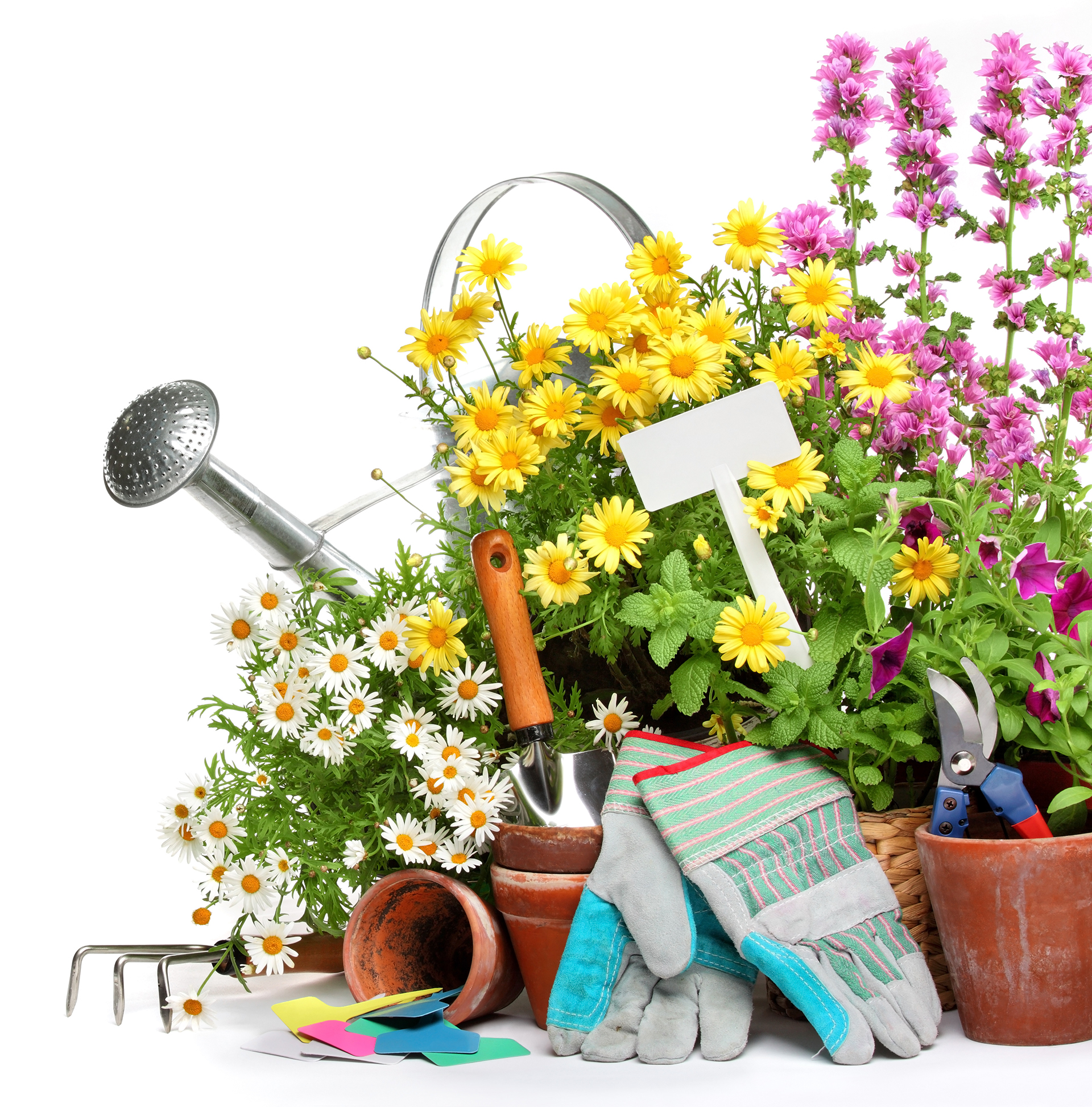 Garten- & Landschaftsbau Andreas Kamp aus Meerbusch-Osterrath: Gärtner & Hausmeister im GaLa Bau